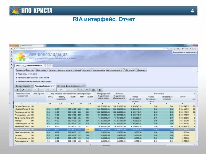 RIA интерфейс. Отчет