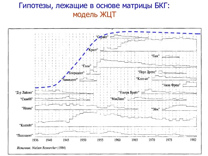 Гипотезы, лежащие в основе матрицы БКГ: модель ЖЦТ