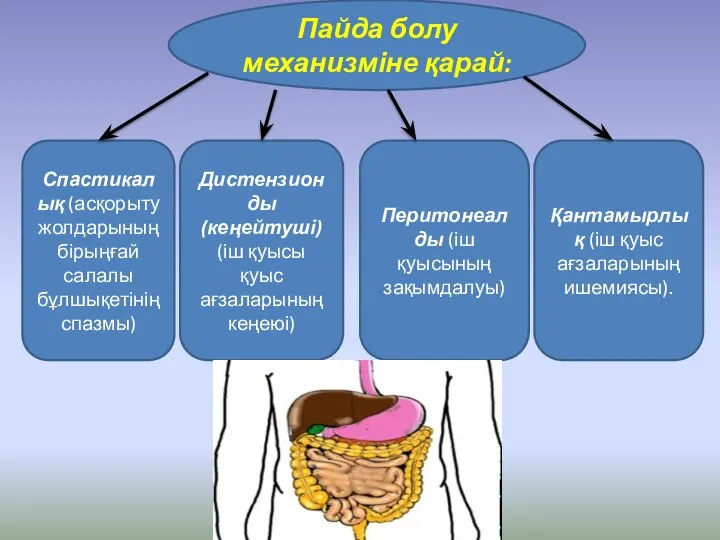 Пайда болу механизміне қарай: Спастикалық (асқорыту жолдарының бірыңғай салалы бұлшықетінің спазмы) Дистензионды(кеңейтуші)