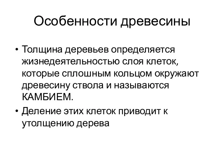 Особенности древесины Толщина деревьев определяется жизнедеятельностью слоя клеток, которые сплошным кольцом окружают