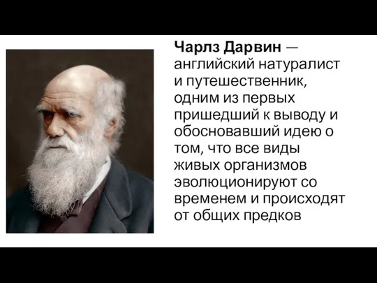 Чарлз Дарвин — английский натуралист и путешественник, одним из первых пришедший к