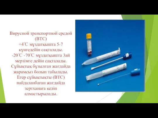 Вирусной транспортной средой (ВТС) +4℃ мұздатқышта 5-7 күнгедейін сақталады. -20℃ -70℃ мұздатқышта