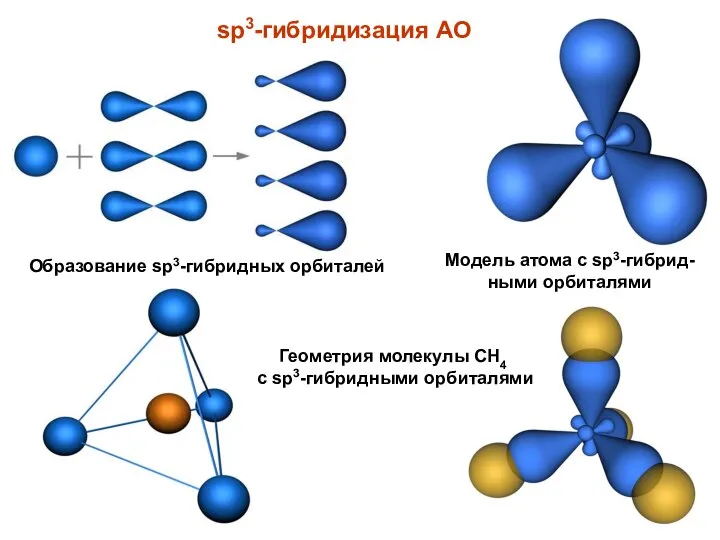 sp3-гибридизация АО Образование sp3-гибридных орбиталей Модель атома с sp3-гибрид-ными орбиталями Геометрия молекулы CH4 с sp3-гибридными орбиталями