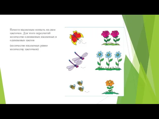 Помоги насекомым попасть на свои цветочки. Для этого пересчитай количество одинаковых насекомых