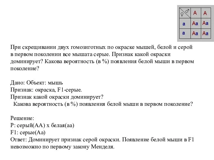 При скрещивании двух гомозиготных по окраске мышей, белой и серой в первом