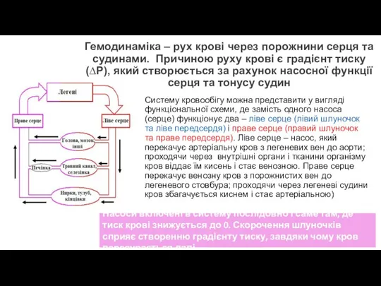 Гемодинаміка – рух крові через порожнини серця та судинами. Причиною руху крові