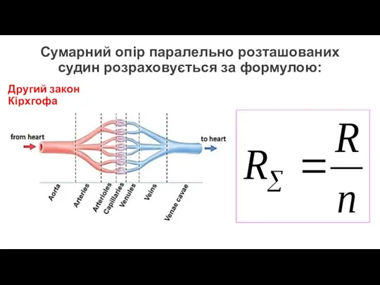 Сумарний опір паралельно розташованих судин розраховується за формулою: Другий закон Кірхгофа