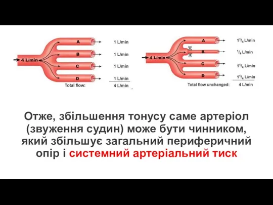 Отже, збільшення тонусу саме артеріол (звуження судин) може бути чинником, який збільшує