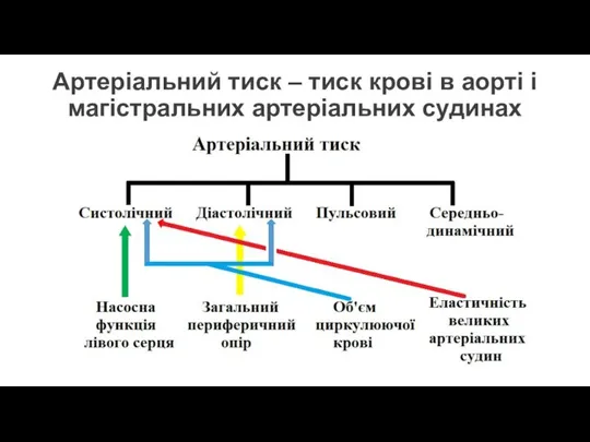 Артеріальний тиск – тиск крові в аорті і магістральних артеріальних судинах