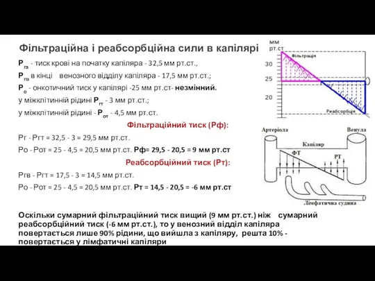 Фільтраційна і реабсорбційна сили в капілярі Рга - тиск крові на початку