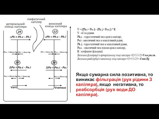 Якщо сумарна сила позитивна, то виникає фільтрація (рух рідини З капіляра), якщо