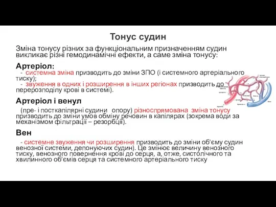 Зміна тонусу різних за функціональним призначенням судин викликає різні гемодинамічні ефекти, а