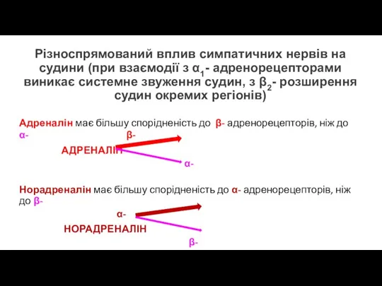 Різноспрямований вплив симпатичних нервів на судини (при взаємодії з α1- адренорецепторами виникає