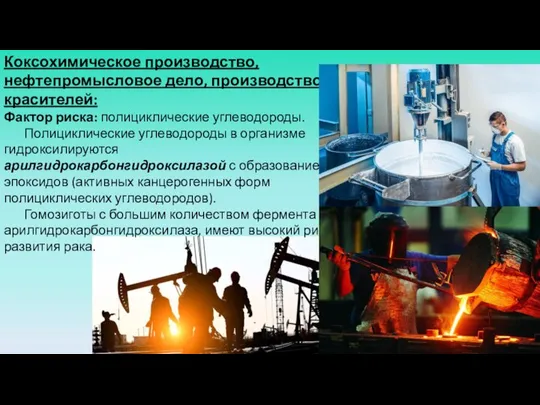 Коксохимическое производство, нефтепромысловое дело, производство красителей: Фактор риска: полициклические углеводороды. Полициклические углеводороды