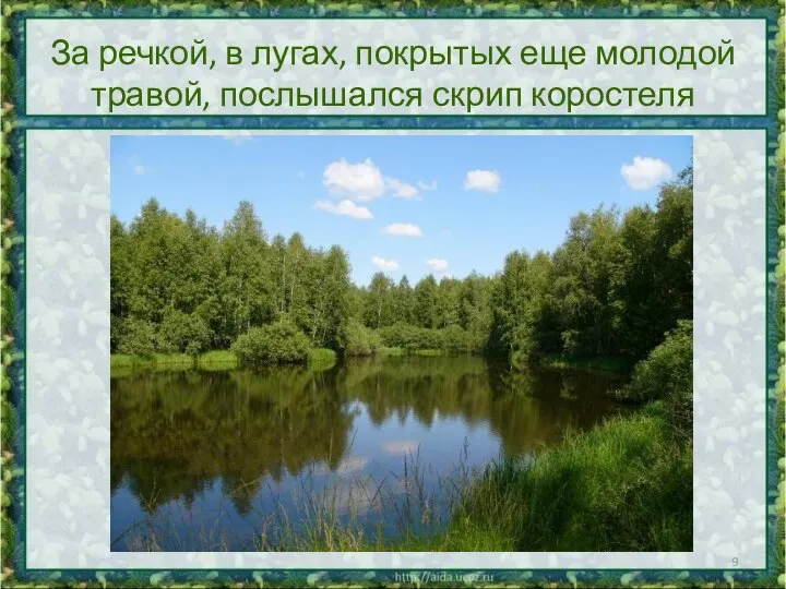 За речкой, в лугах, покрытых еще молодой травой, послышался скрип коростеля