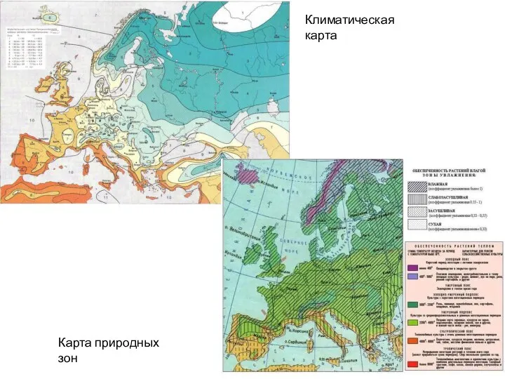 Климатическая карта Карта природных зон