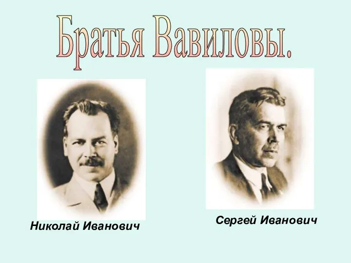 Братья Вавиловы. Сергей Иванович Николай Иванович