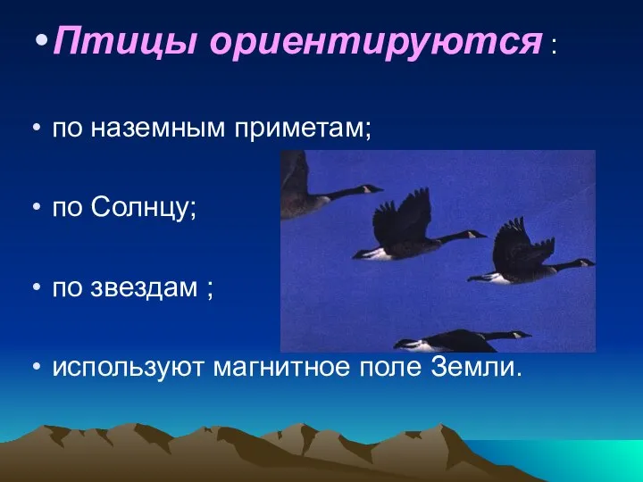 Птицы ориентируются : по наземным приметам; по Солнцу; по звездам ; используют магнитное поле Земли.