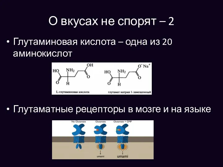 О вкусах не спорят – 2 Глутаминовая кислота – одна из 20