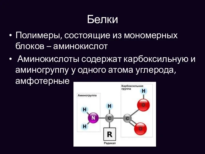 Белки Полимеры, состоящие из мономерных блоков – аминокислот Аминокислоты содержат карбоксильную и