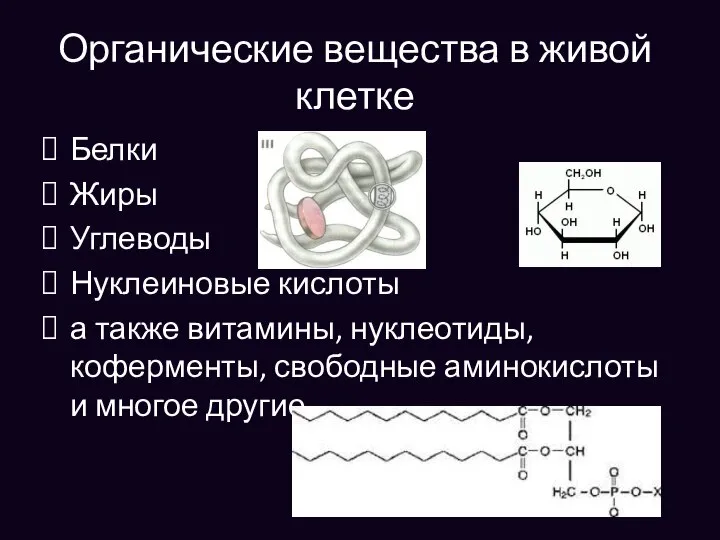 Органические вещества в живой клетке Белки Жиры Углеводы Нуклеиновые кислоты а также