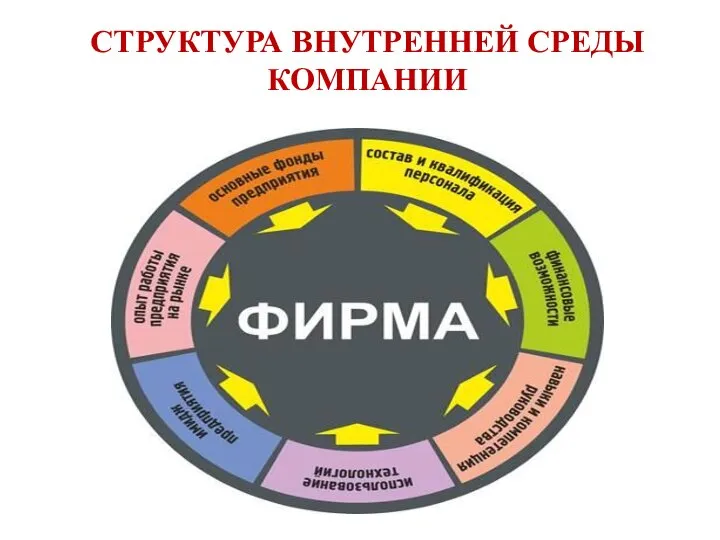 СТРУКТУРА ВНУТРЕННЕЙ СРЕДЫ КОМПАНИИ