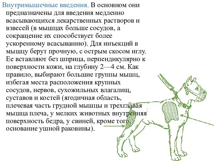 Внутримышечные введения. В основном они предназначены для введения медленно всасывающихся лекарственных растворов