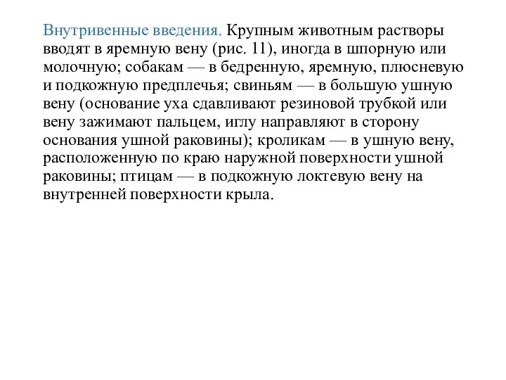 Внутривенные введения. Крупным животным растворы вводят в яремную вену (рис. 11), иногда