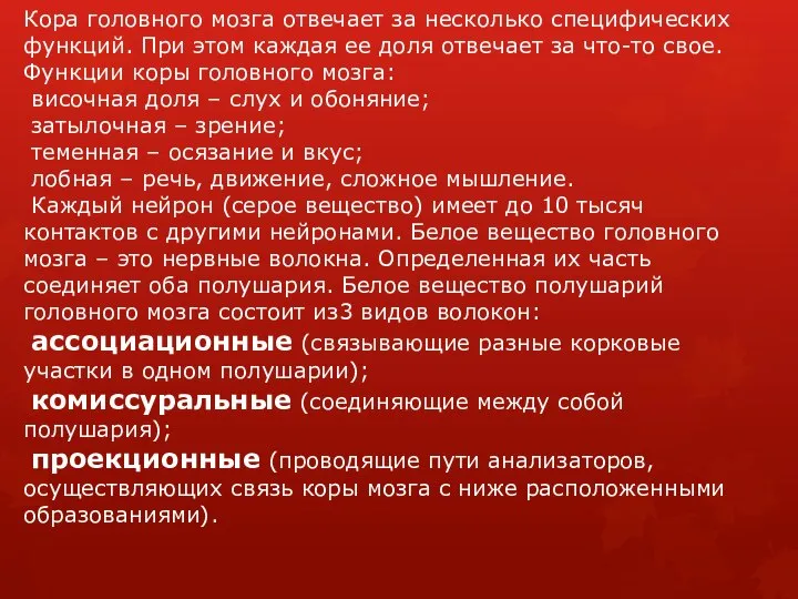 Кора головного мозга отвечает за несколько специфических функций. При этом каждая ее