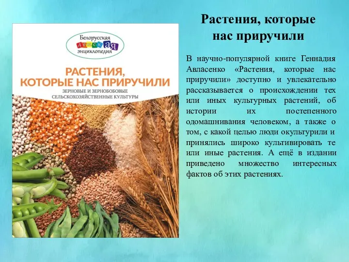 Растения, которые нас приручили В научно-популярной книге Геннадия Авласенко «Растения, которые нас