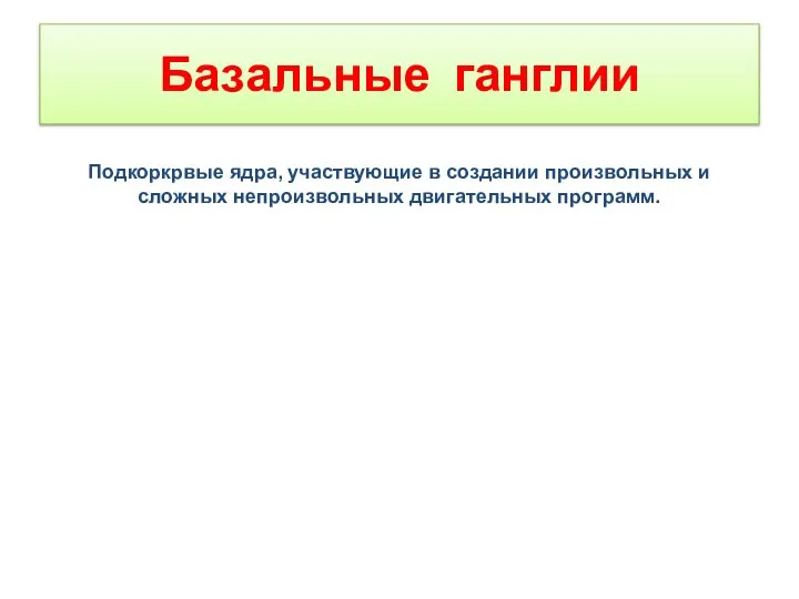 Базальные ганглии Подкоркрвые ядра, участвующие в создании произвольных и сложных непроизвольных двигательных программ.