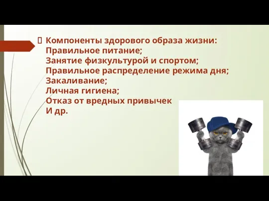 Компоненты здорового образа жизни: Правильное питание; Занятие физкультурой и спортом; Правильное распределение