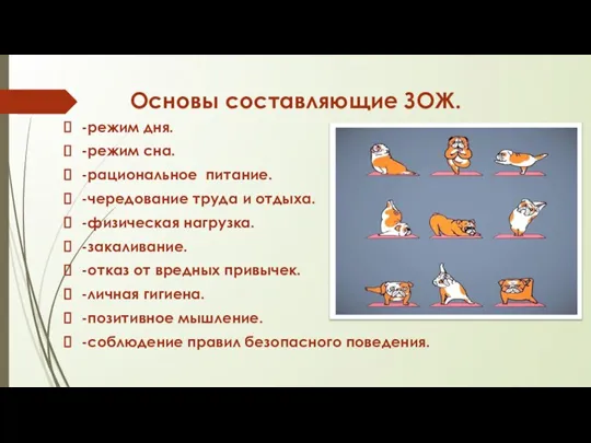 Основы составляющие ЗОЖ. -режим дня. -режим сна. -рациональное питание. -чередование труда и