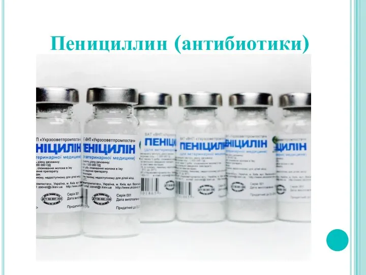 Пенициллин (антибиотики)