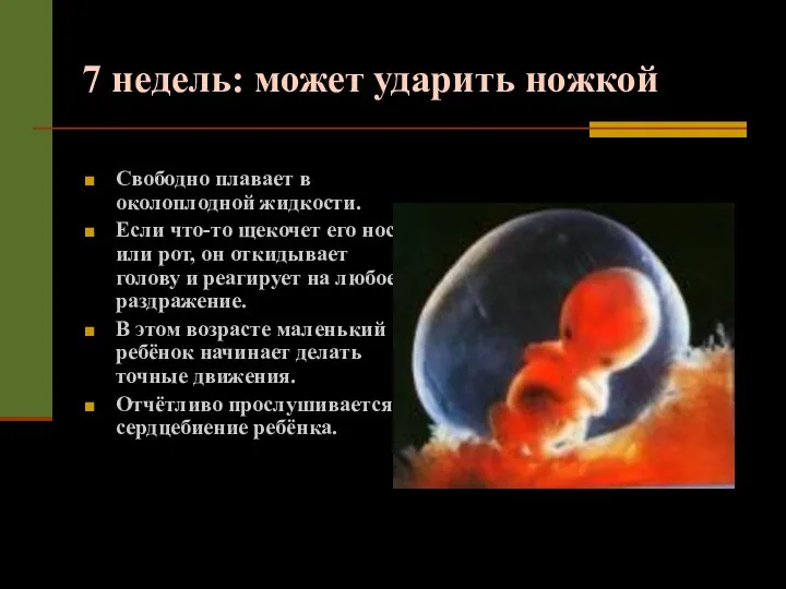 7 недель: может ударить ножкой Свободно плавает в околоплодной жидкости. Если что-то