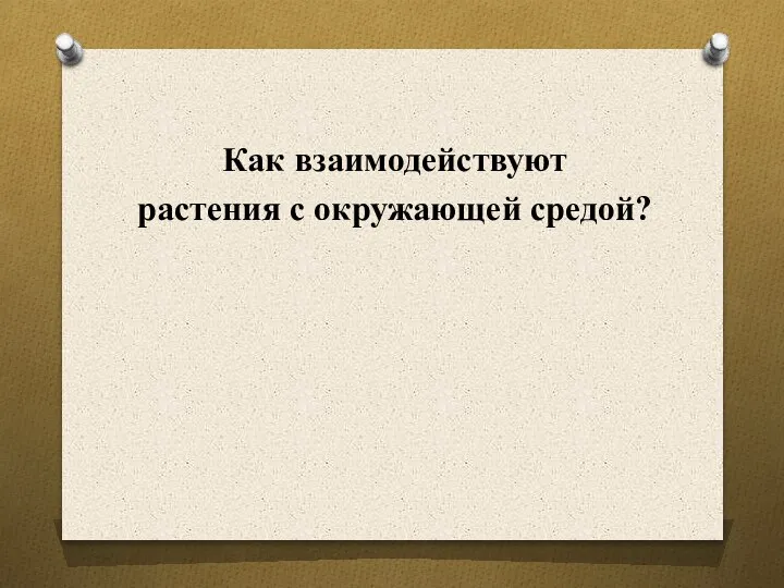 Как взаимодействуют растения с окружающей средой?