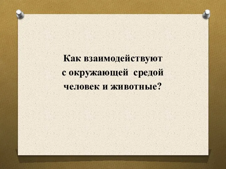 Как взаимодействуют с окружающей средой человек и животные?