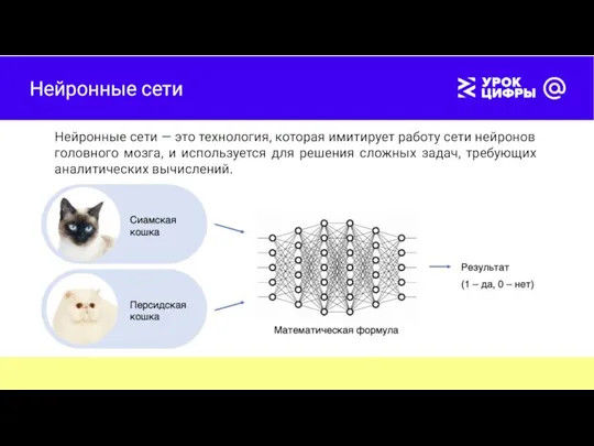 Нейронные сети Нейронные сети — это технология, которая имитирует работу сети нейронов