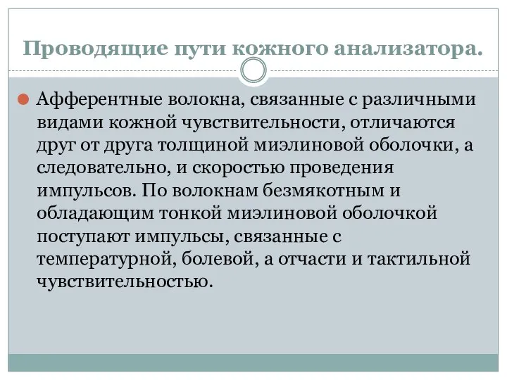 Проводящие пути кожного анализатора. Афферентные волокна, связанные с различными видами кожной чувствительности,