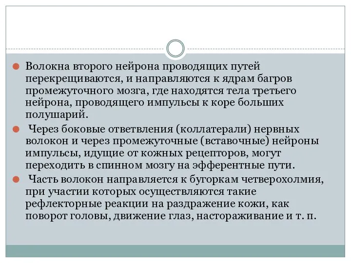 Волокна второго нейрона проводящих путей перекрещиваются, и направляются к ядрам багров промежуточного