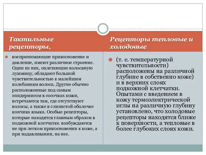 Тактильные рецепторы, Рeцenmopы тепловые и холодовые воспринимающие прикосновение и давление, имеют различное