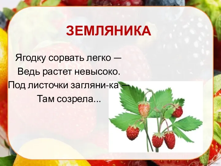 ЗЕМЛЯНИКА Ягодку сорвать легко — Ведь растет невысоко. Под листочки загляни-ка — Там созрела...