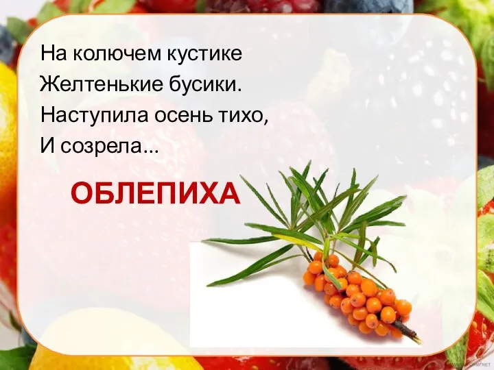 ОБЛЕПИХА На колючем кустике Желтенькие бусики. Наступила осень тихо, И созрела...