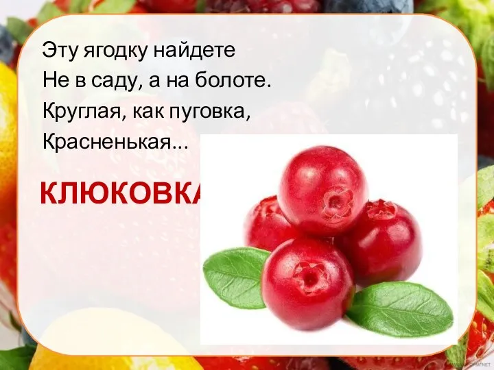 КЛЮКОВКА Эту ягодку найдете Не в саду, а на болоте. Круглая, как пуговка, Красненькая...