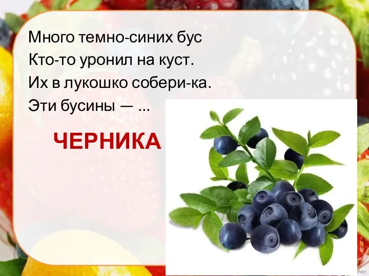 ЧЕРНИКА Много темно-синих бус Кто-то уронил на куст. Их в лукошко собери-ка. Эти бусины — ...