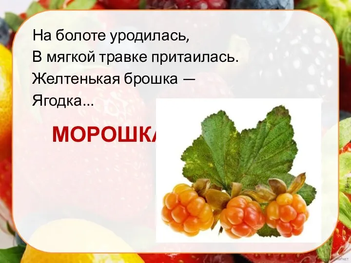 МОРОШКА На болоте уродилась, В мягкой травке притаилась. Желтенькая брошка — Ягодка...