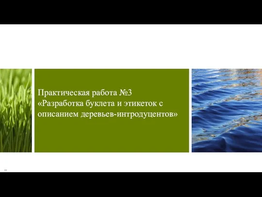 Практическая работа №3 «Разработка буклета и этикеток с описанием деревьев-интродуцентов» 22