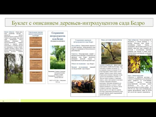 Буклет с описанием деревьев-интродуцентов сада Бедро 24