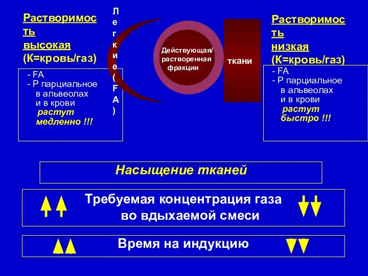 - FA - Р парциальное в альвеолах и в крови растут быстро