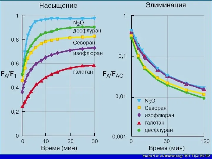 Yasuda N. et. al Anesthesiology 1991; 74(3) 489-498